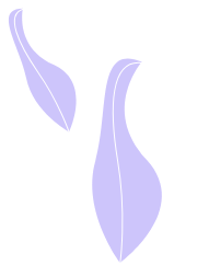 item1